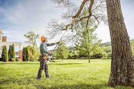 Best Aeration Services  in Moreno Valley, CA