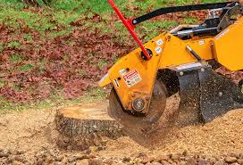 Best Tree Mulching  in Moreno Valley, CA